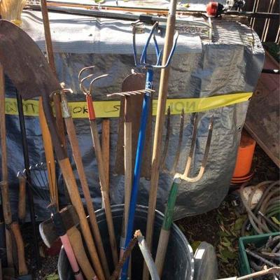 Large Lot Yard Work Tools #2