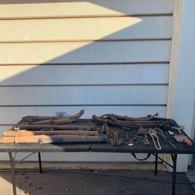 Horse Equipment