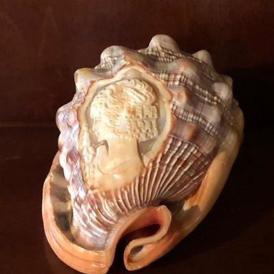Shell Cameo
Sea
Carved
Lady
Beach
Shells