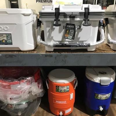 Variety of Igloo Coolers