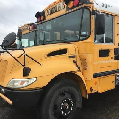 (16) International Buses