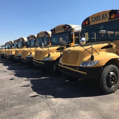 (17) International Buses