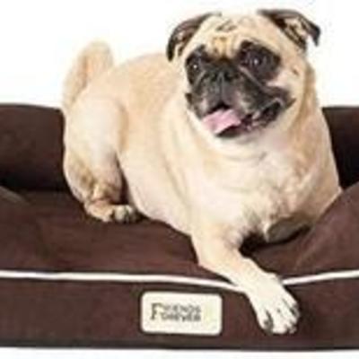 Friends Forever Orthopedic Memory-Foam Dog Bed 2.5 Mattress Premium Lounge Sofa with 100% Suede Removable Cover Prestige Edition, 20 x 25...