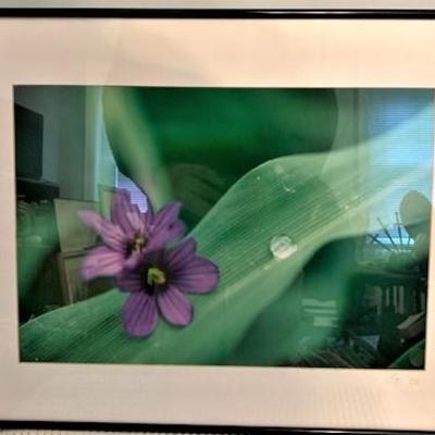 "Dew for Two" Framed Photo C.T. Ward 