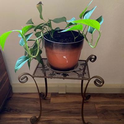 Plant stand $18 
Plant $8