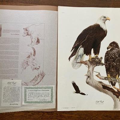 Richard Sloan signed bald eagle print