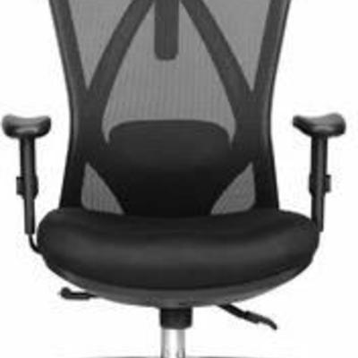 Duramont Ergonomic Adjustable Office Chair with Lumbar Support
