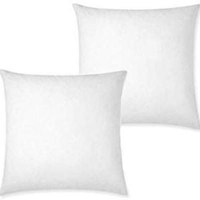 IZO Home Goods Premium Outdoor Anti-Mold Water Resistant Hypoallergenic Stuffer Pillow Insert Sham Square Form Polyester, 16 L X 16 W (2...