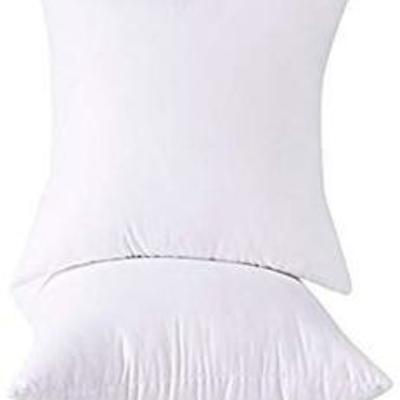 Set of 2, Cotton Down Alternative Decorative Throw Pillow Insert, Square, 20X20 Inche