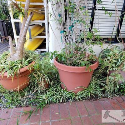 4 Planters
Measurements range from 8" x 7" - 25" x 19"