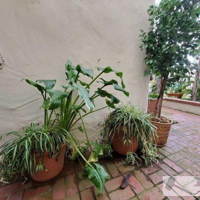2 Medium Planters and Fake Plant