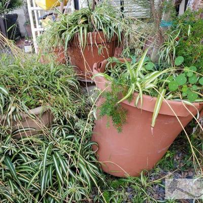 3 Planters
Measurements range from 18" x 14 - 24" x 21"