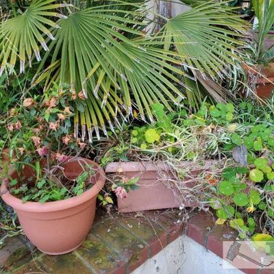 4 Planters
Measurements range from 7" x 11" - 21" x 13"