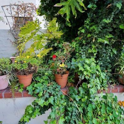 8 Small Planters
Measurements range from approx 11" x 9" to 7" x 8"