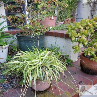 4 Planters
Measurements range from approx 19" x 13" - 11" x 9"