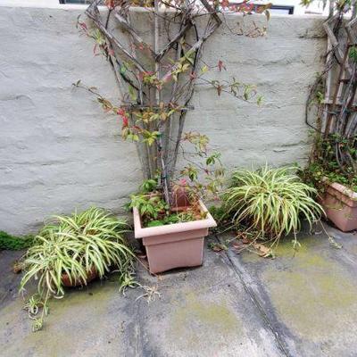 6 Planters measures approx 18X15 to 17 X 6