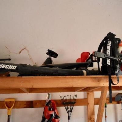 Echo backpack blower