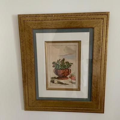 Framed Botanical #4 $85