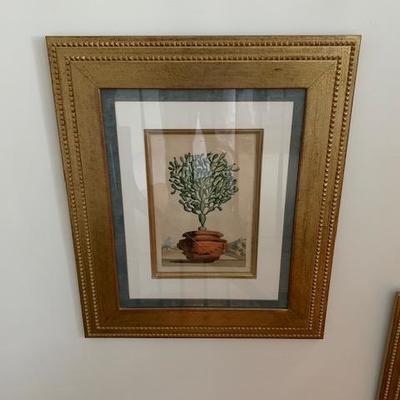 Framed Botanical #6 $85