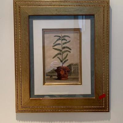 Framed Botanical #5 $85