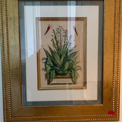 Framed Botanical #2 $85