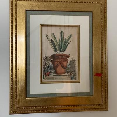 Framed Botanical #3 $85