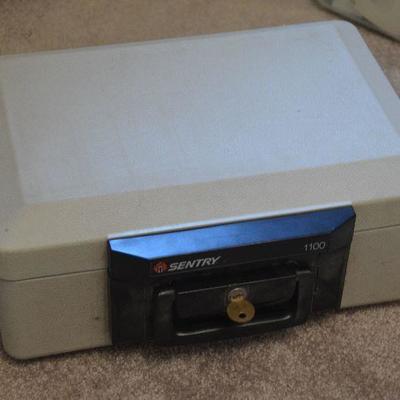 #51 Sentry Safe 1100   $12