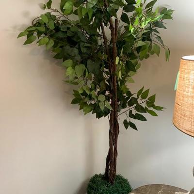 $45-Silk Ficus Tree