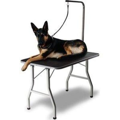 Paws & Pals 30 Large Pet Foldable Grooming Table - Missing Pieces