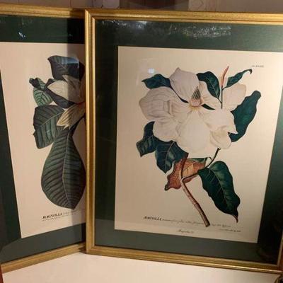 Framed Steel Magnolia Prints