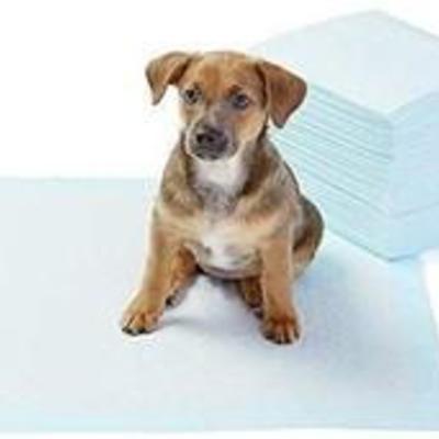 AmazonBasis Pet Training Pads