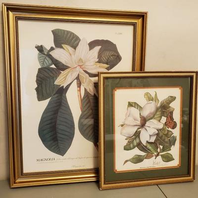 Framed Magnolia Prints 2