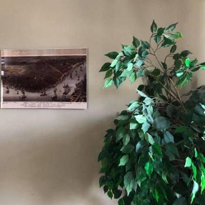PA041 City of New Orleans Tin Type Hanging Wall Art $35, Artificial Plant $20 .
We will not hold unless Paid for
Venmo @Rafael-Monzon-1...