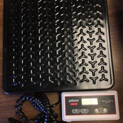 https://www.ebay.com/itm/114171701885 KB0059: Pelouze Digital Rubbermaid 4010-88 Receiving Scale, 150lb max, 12"x12" $25