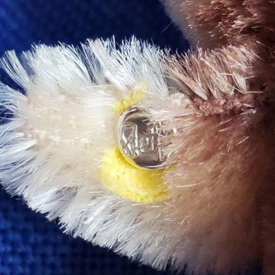 Lot 19 Button