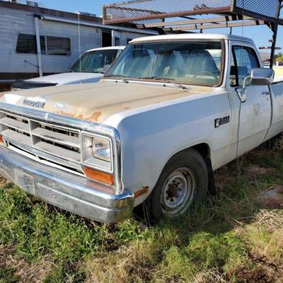3032: Year: 1990
Make: Dodge
Model: D250 Pickup
Vehicle Type: Pickup Truck
Mileage:
Plate:
Body Type: 2 Door Cab; Club
Trim Level: Base...