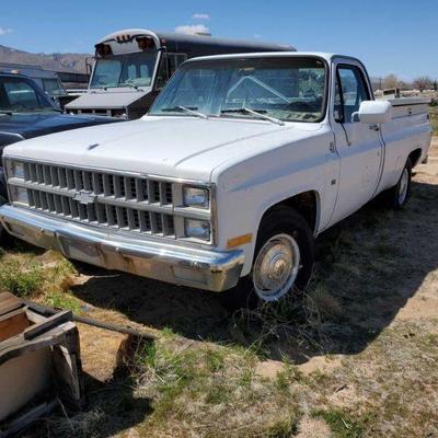3046: Year: 1982
Make: Chevrolet
Model: C20
Vehicle Type: Pickup Truck
Mileage:
Plate:
Body Type: 2 Door Cab; Regular
Trim Level: Base...