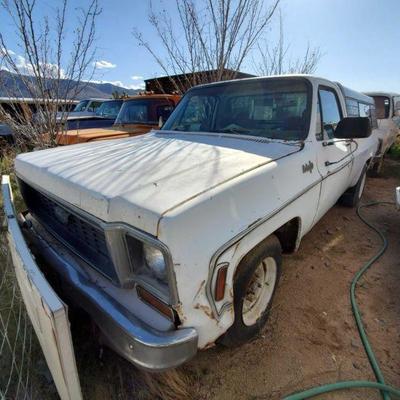 2090	
1973 Chevrolet C20
1973 Chevrolet C20, VIN: CCY243Z180435, Mileage: 35,415
Not in Eststes name.
On non op.