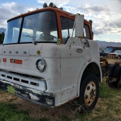 3030: 1975-77 Ford C600