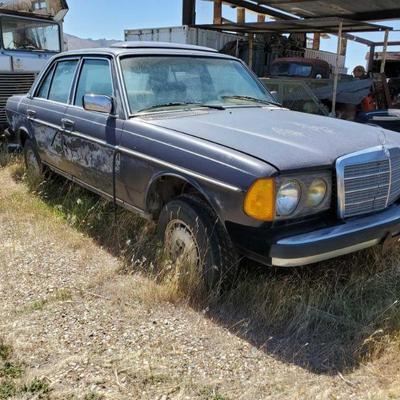 1172	
1981 Mercedes Benz 300D
Year: 1981 
Make: Mercedes-Benz 
Model: 300 
Vehicle Type: Passenger Car 
Mileage: 
Plate: 
Body Type: 4...