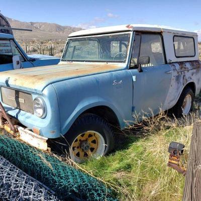 International Scout
