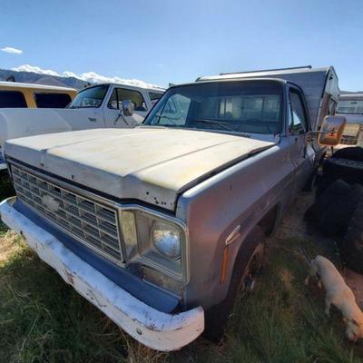 2084	
Chevrolet Scottsdale C20
Chevrolet Scottsdale C20, V.U., LOCKED