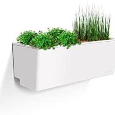Glowpear Urban Garden Self-Watering Mini Wall Planter