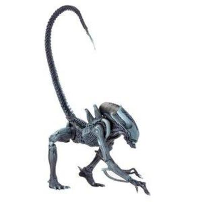 Aliens vs Predator (Arcade Appearance) - 7 Scale Action Figures - Arachnoid