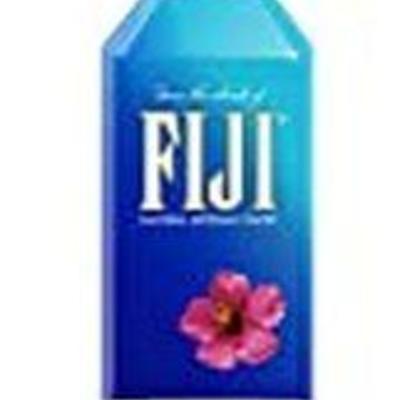 FIJI Natural Artesian Water, 16.9-Ounce Bottles (Pack of 24)
