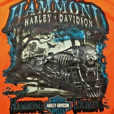 https://www.ebay.com/itm/124176096349	JX007: HARLEY DAVIDSON HAMMOND, LA SHIRT SIZE M NEW WITH TAGS	 $20.00 
