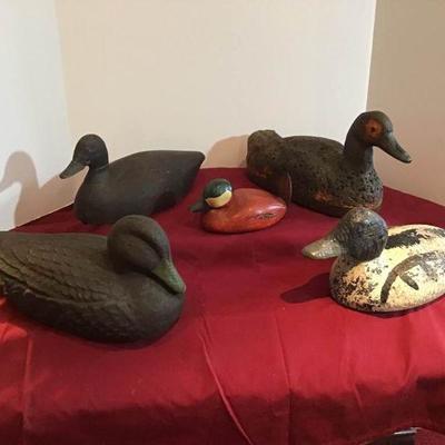 Duck Decoys #2
