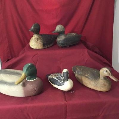 Duck Decoys #1