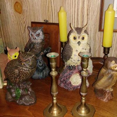 owl collection  half price