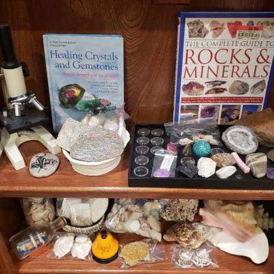 Rocks/Minerals/Crystals/Sea Shells